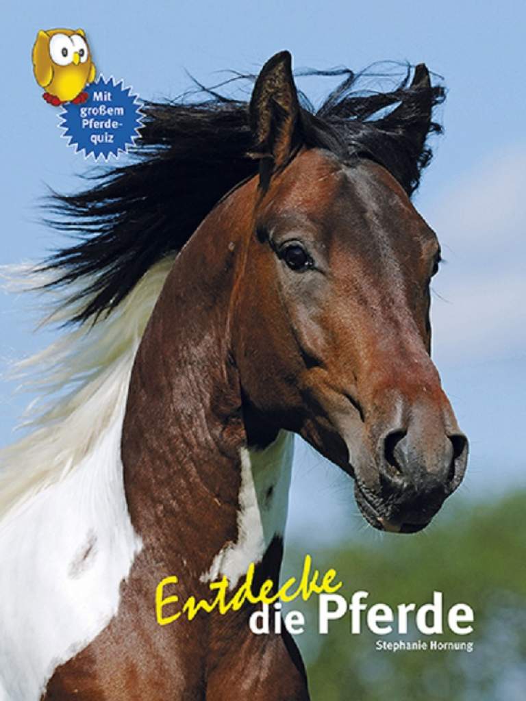 Entdecke die Pferde